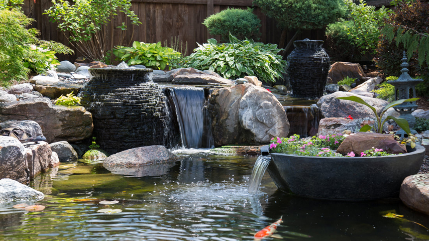 How Much Does Professional Pond Installation Cost