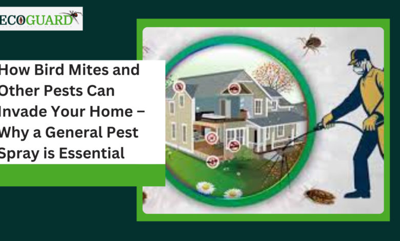 How Bird Mites and Other Pests Can Invade Your Home – Why a General Pest Spray is Essential