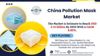 China Pollution Mask Market