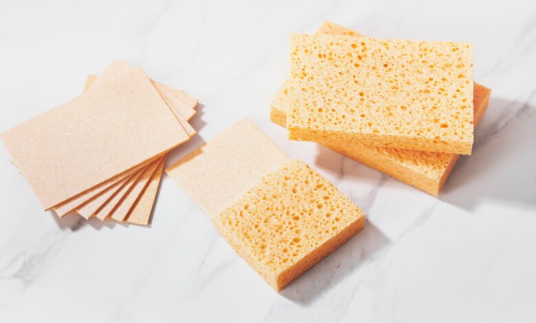 Compostable Cleaning Sponges 2 WingsMyPost