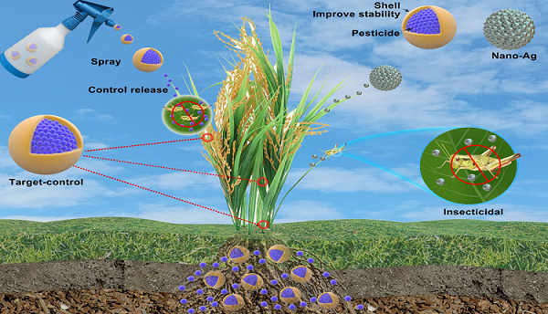 Global Slow and Controlled Release Pesticides Market