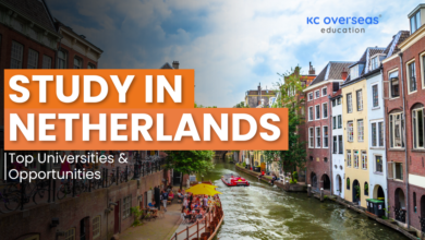 Study in Netherlands top Universities in opportunities