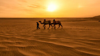 Evening Desert Safari in Dubai1 (1)